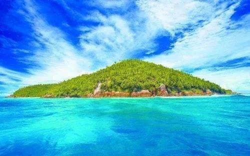 年度最佳男艺人候选出炉，四位顶流齐上榜，这阵容竞争太激烈了！